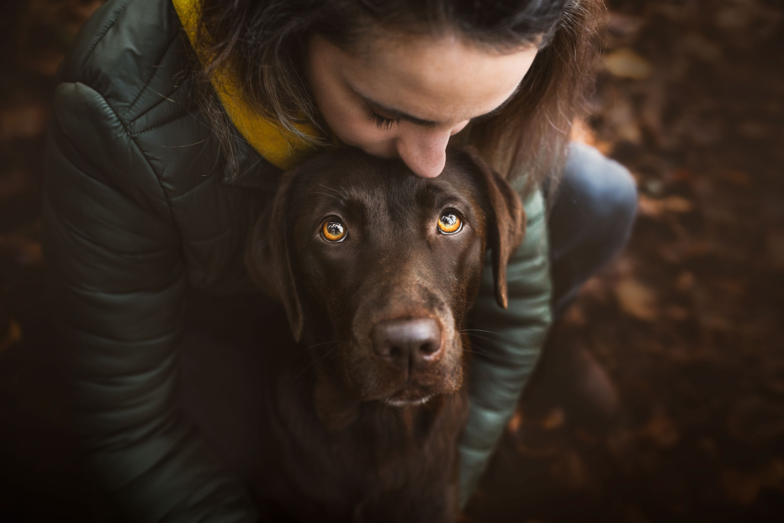 Herbstfotoshooting mit Hund und Mensch Schweiz
