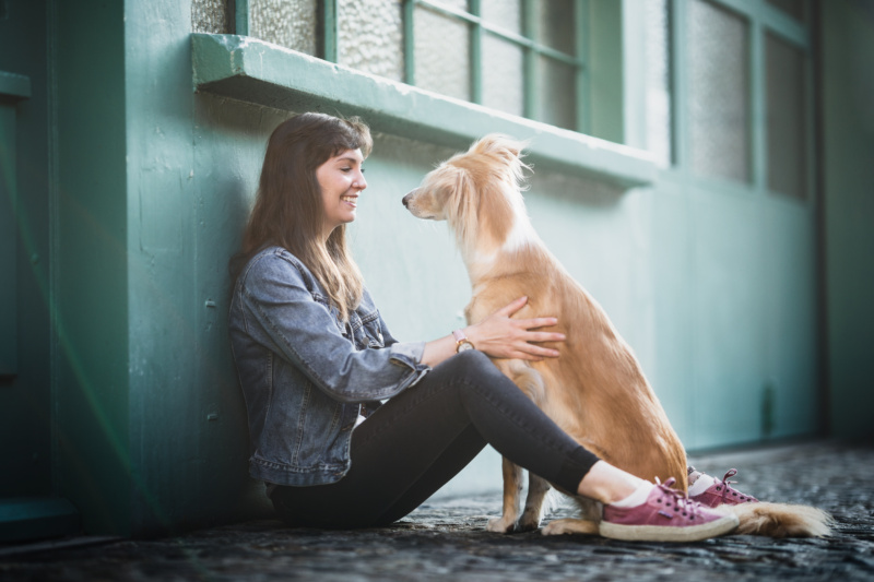 Windhund Mensch Team in der Stadt