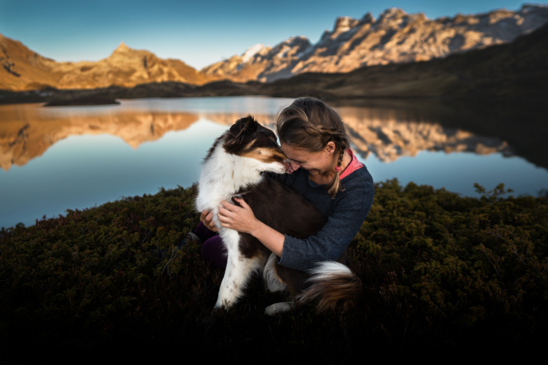 Australian Shepherd wird geknuddelt in den Bergen der Schweiz