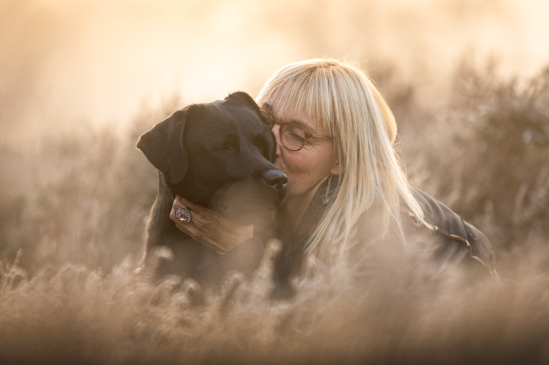 Schwarzer Labrador wird geknuddelt
