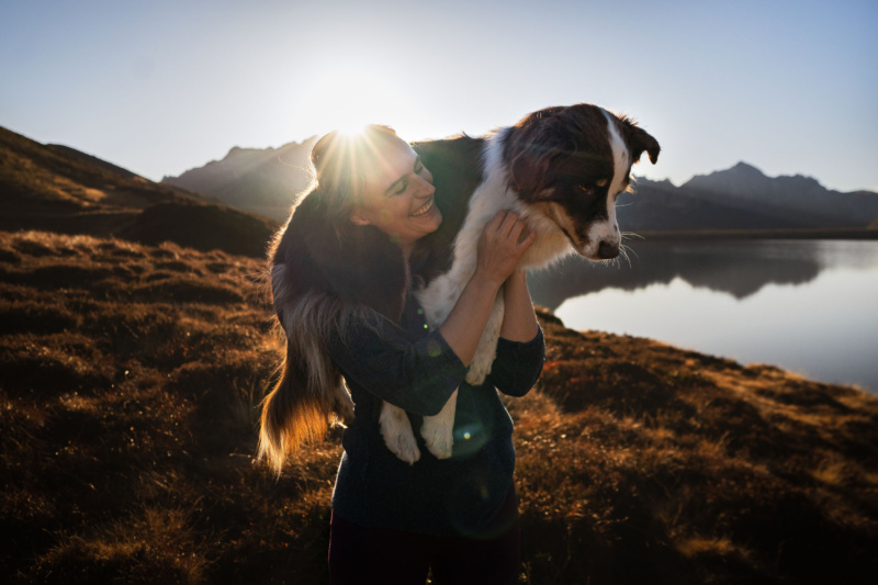 Australian Shepherd auf der Schulter