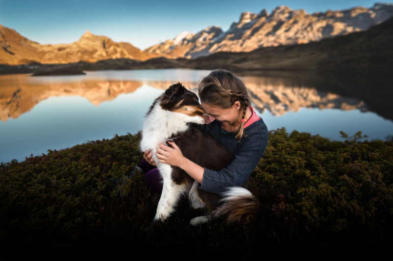 Australian Shepherd wird geknuddelt
