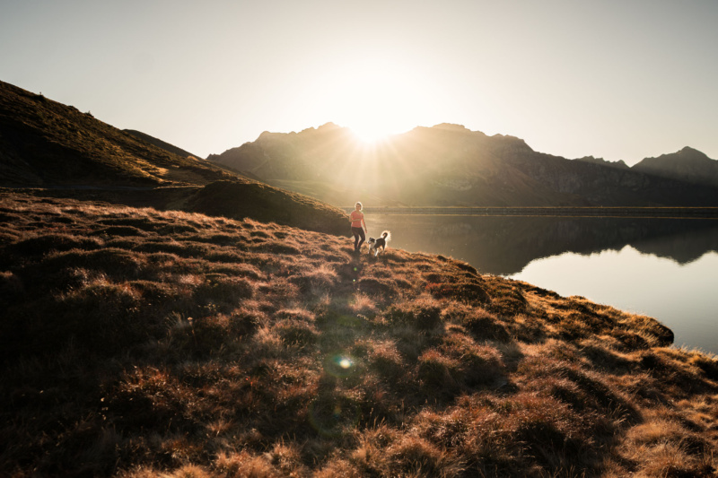 Frau rennt am Tannsee mit Hund