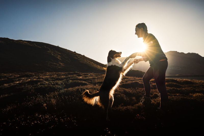 Frau mit Hund im Sonnenuntergang