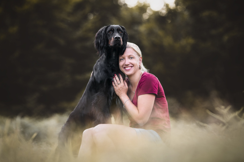 Gordon Setter steht auf dem Schoss der Besitzerin