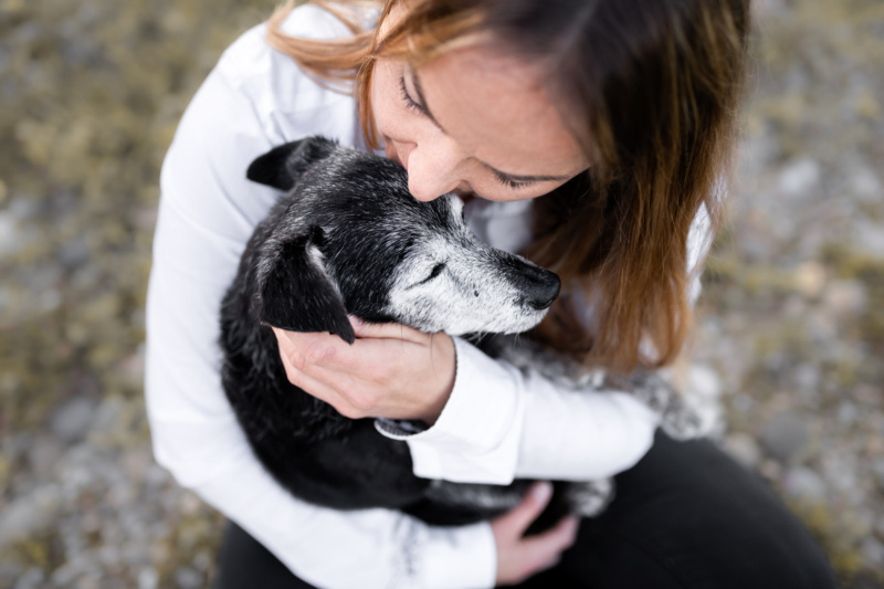 Hund wird umarmt und im Arm gehalten