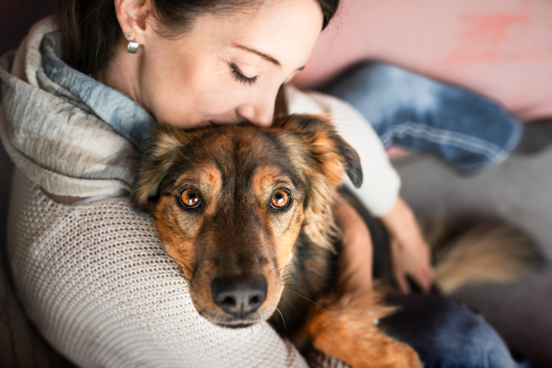 Mischlingshund liegt in den Armen seiner Besitzerin Hundefotografie Schweiz