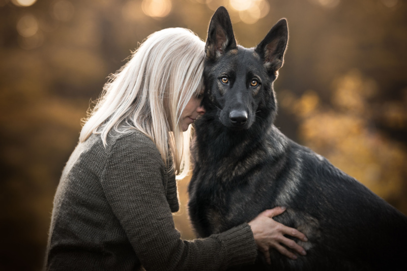 Deutsche Schaeferhuendin Hundefotoshooting in der Schweiz