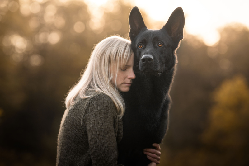 Hundefotografie in der Schweiz Schwarzer Schaeferhund