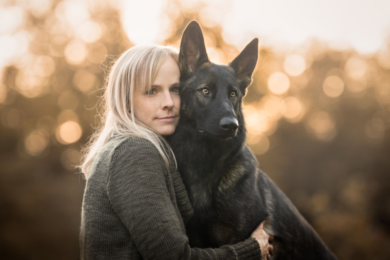 Schaeferhund Hundefotografie Schweiz