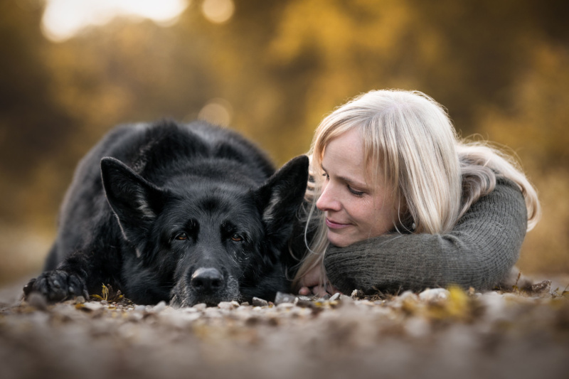 Vertrauen und Bindung zwischen Hund und Mensch