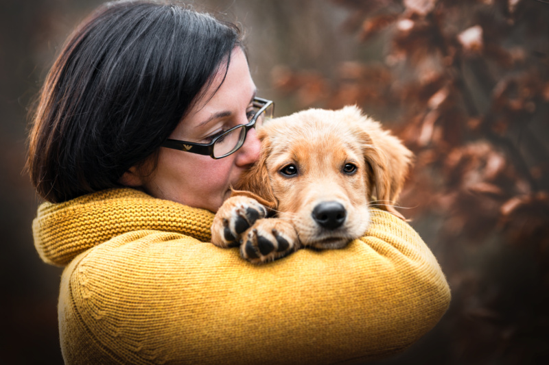 Golden Retriever Welpe liegt im Arm Hundefotografie in der Schweiz