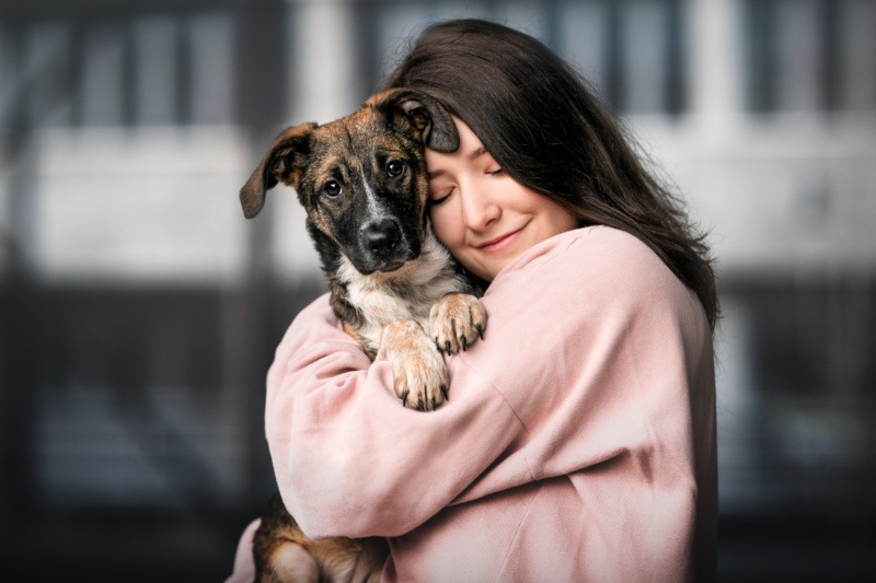 Hund und Mensch Fotoshooting Welpenfotoshooting Schweiz