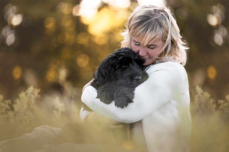 Hunde und-Menschfotografie in der Schweiz Riesenschauzerwelp