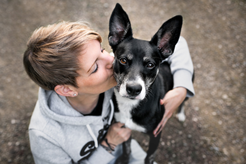 Hundefotoshooting mit Hund und Mensch Schweiz Bern