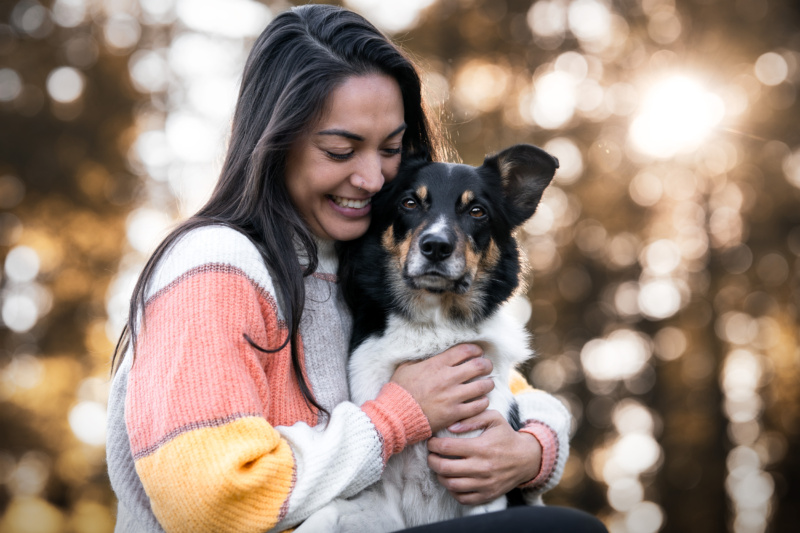 Border Collie wird geknuddelt Hundefotografie Schweiz