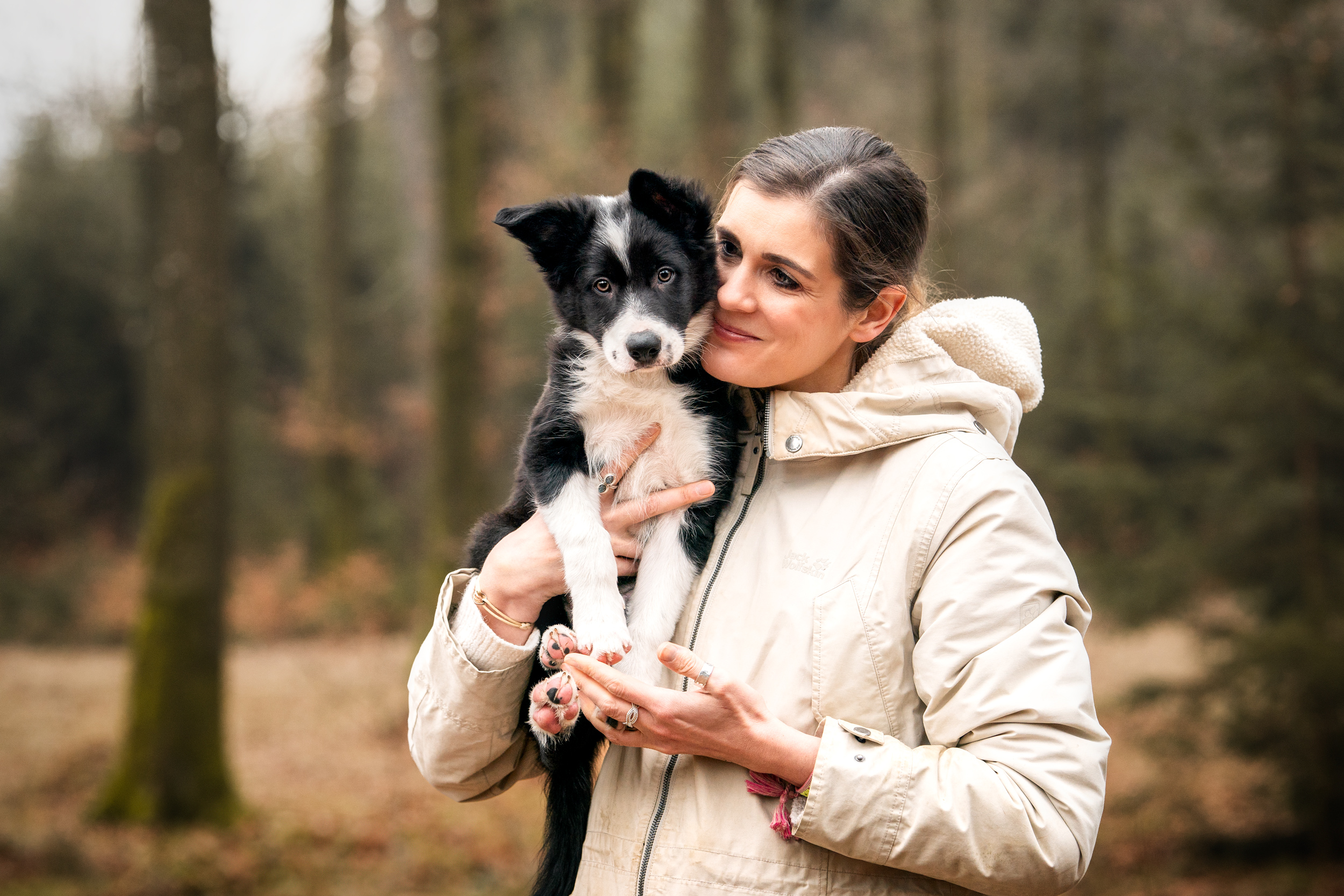 Border Collie Welpe auf dem Arm Border Collie Welpe auf dem Arm