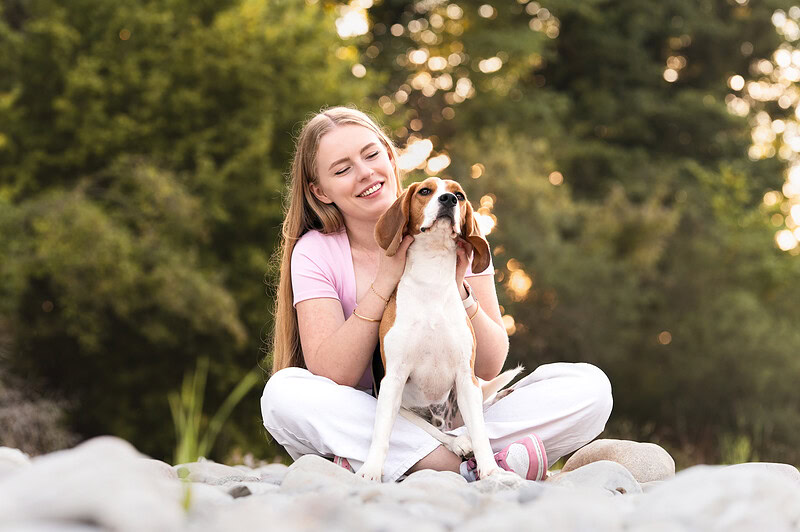 Entspannter Moment beim Hundefotoshooting mit Beagle Schweiz