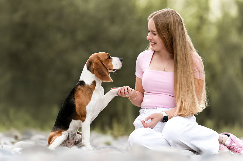Hund gibt Pfoetchen beim Hunde Shooting an der emme