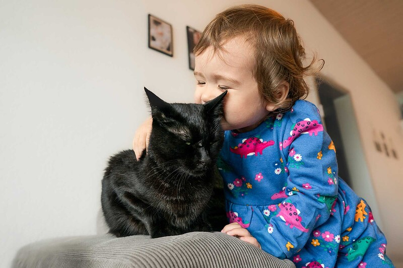 Ein Kleinkind im blauen Kleid schmiegt sich sanft an eine schwarze Katze und gibt ihr ein Küsschen, aufgenommen bei einer Homestory in Luzern.
