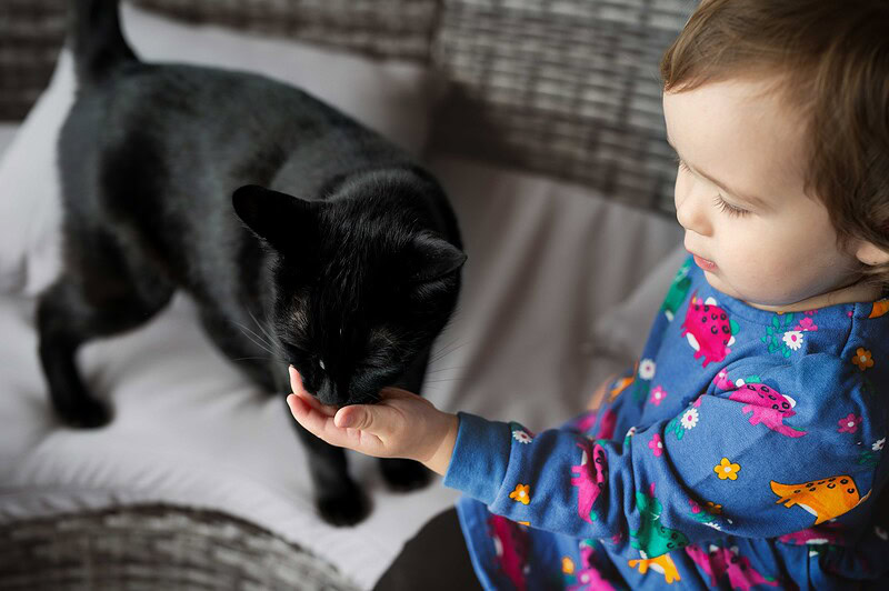 Ein Kleinkind im bunten Kleid hält behutsam seine Hand hin, an der eine schwarze Katze während eines entspannten Fotoshootings zu Hause schnuppert.