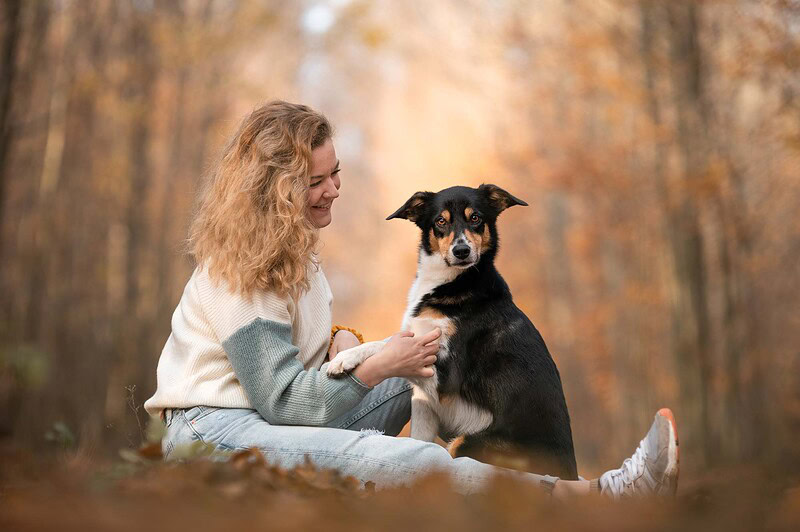 Eine lachende junge Frau sitzt im Herbstlaub und hält liebevoll die Pfote ihres Border Collie Mix, der aufmerksam in die Kamera schaut. Natürliche Hundefotografie im Wald bei Bern