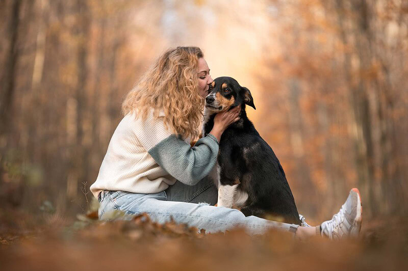 Eine junge Frau mit Locken sitzt im Herbstlaub und gibt ihrem schwarz-weißen Border Collie Mix einen zärtlichen Kuss auf den Kopf. Emotionale und innige Hundefotografie im Wald bei Bern