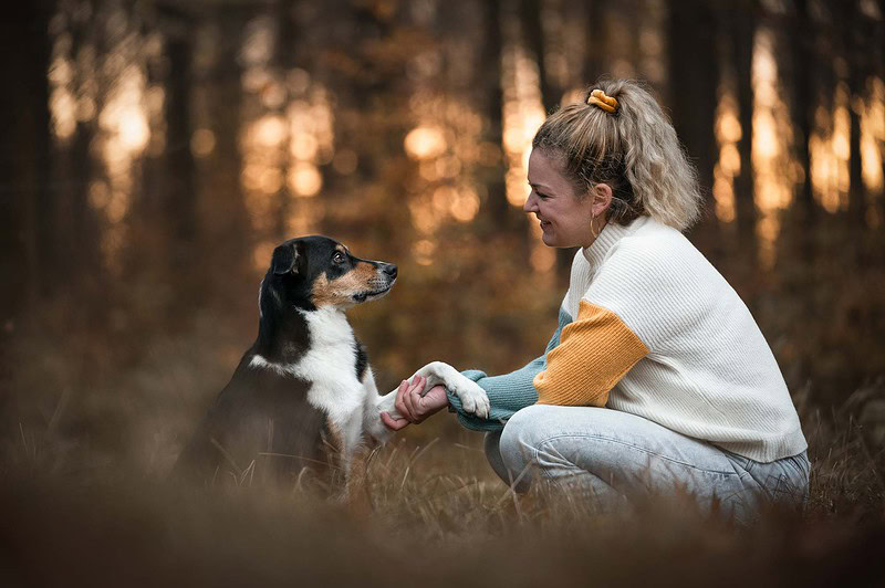 Eine hockende junge Frau lächelt ihren Border Collie Mix an, während dieser ihr im herbstlichen Wald bei Bern vertrauensvoll die Pfote gibt. Warmer, stimmungsvoller Hintergrund im goldenen Licht. Emotionale Hundefotografie