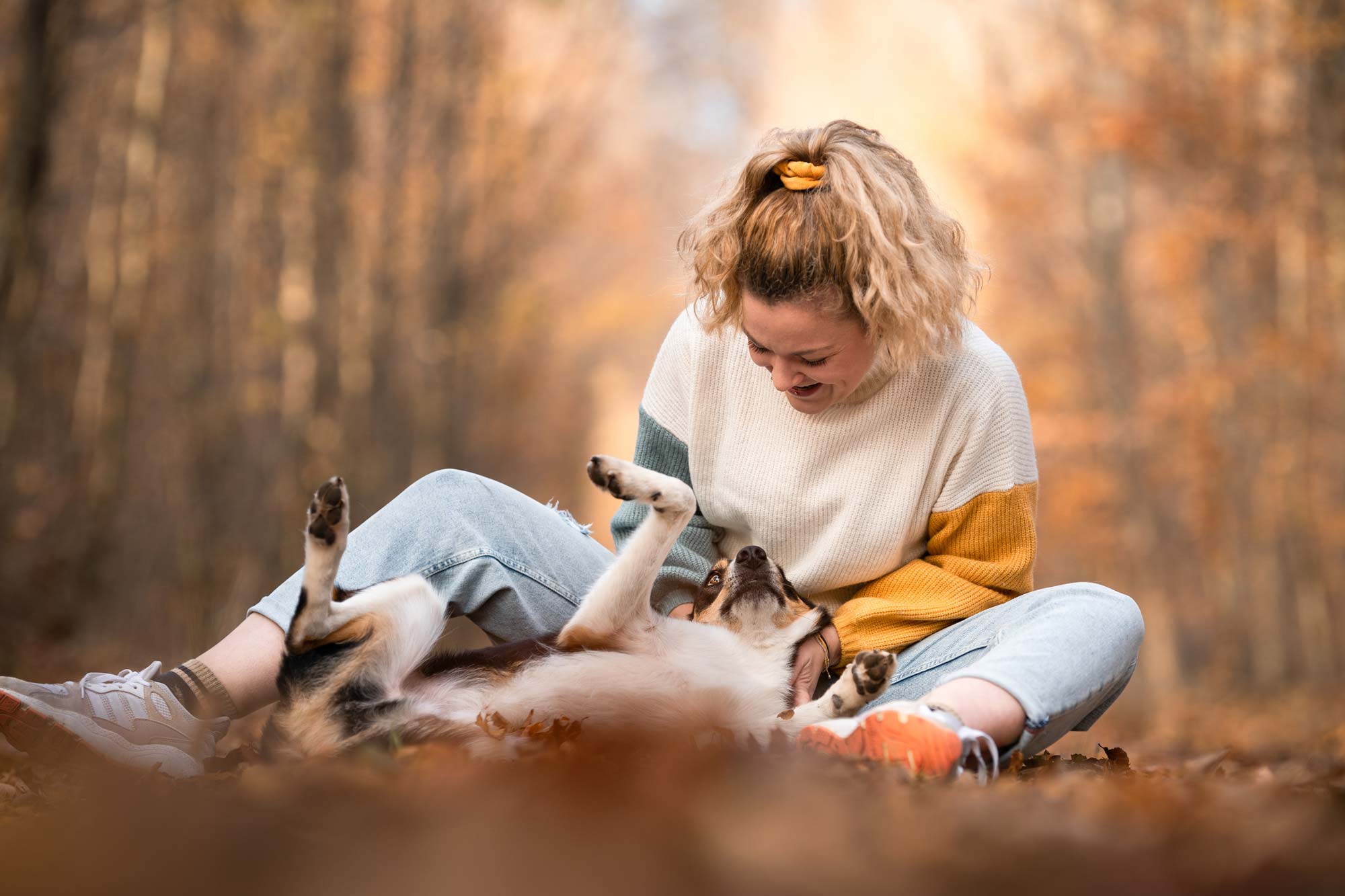 Eine lachende junge Frau sitzt auf dem Waldboden im Herbstlaub und krault vergnügt ihrem Border Collie Mix den Bauch, der verspielt auf dem Rücken liegt. Fröhliche Hundefotografie im Wald bei Bern.