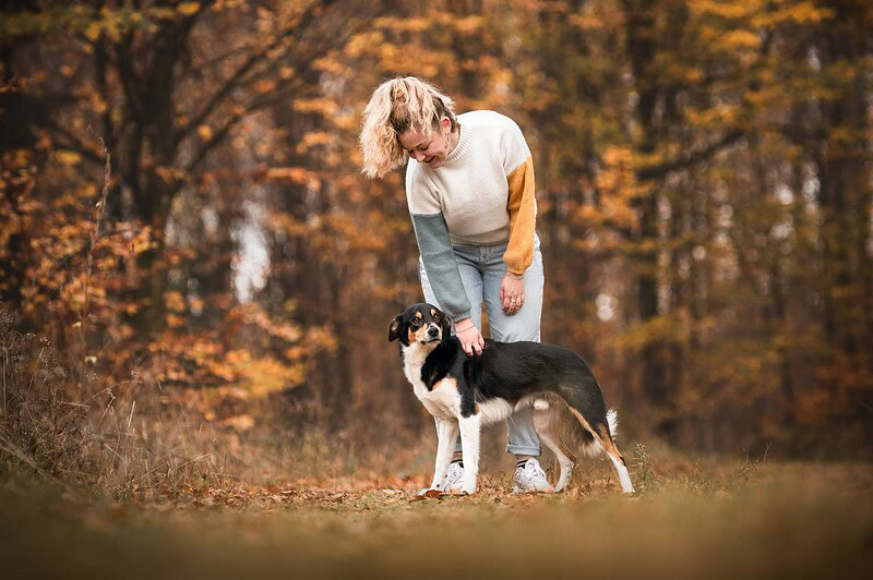 Eine lächelnde junge Frau steht im herbstlichen Wald bei Bern und streichelt liebevoll den Rücken ihres stehenden Border Collie Mix. Authentische und ungestellte Hundefotografie in der Natur.