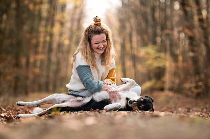 Eine lachende Frau in einem kuscheligen Pullover streichelt einem Border Collie Mix den Bauch im herbstlichen Wald bei Bern. Fröhliche und authentische Hundefotografie.