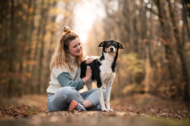 Junge Frau mit Dutt sitzt auf dem mit Laub bedeckten Waldboden und hält schmunzelnd einen stehenden schwarz-weißen Bordercollie Mix. Authentische Hundefotografie im Herbstwald bei Bern.