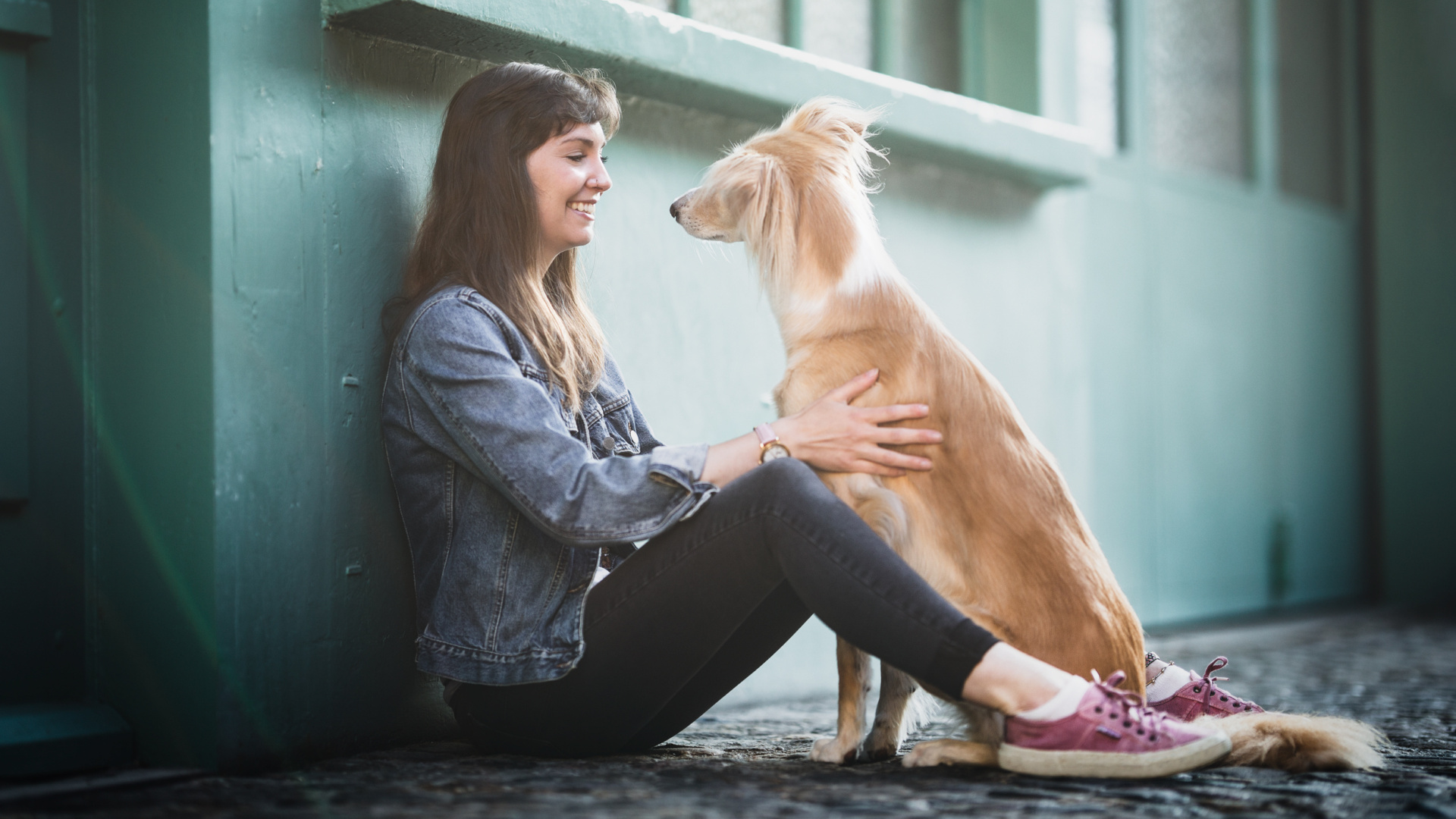 Einzelcoaching Hund und Menschfotografie Hundefotografie Photo