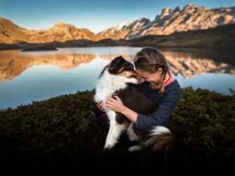 Australian Shepherd wird geknuddelt