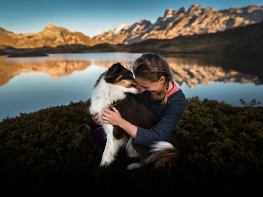 Australian Shepherd wird geknuddelt in den Bergen der Schweiz
