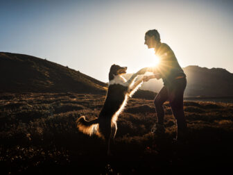 Frau mit Hund im Sonnenuntergang