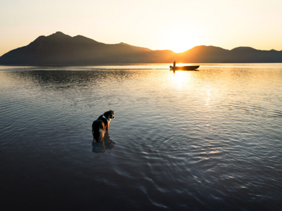 Landschaftsfotografie mit Hund am See