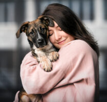Hund und Mensch Fotoshooting Welpenfotoshooting Schweiz