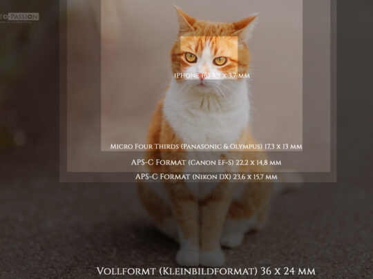 Sensorgrössen bei digitalkameras