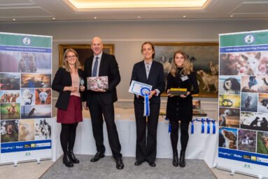 Dog Photographer of the Year 2019