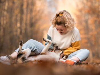 Eine lachende junge Frau sitzt auf dem Waldboden im Herbstlaub und krault vergnügt ihrem Border Collie Mix den Bauch, der verspielt auf dem Rücken liegt. Fröhliche Hundefotografie im Wald bei Bern.